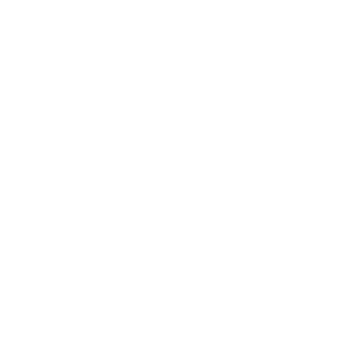 Project Wildbird
