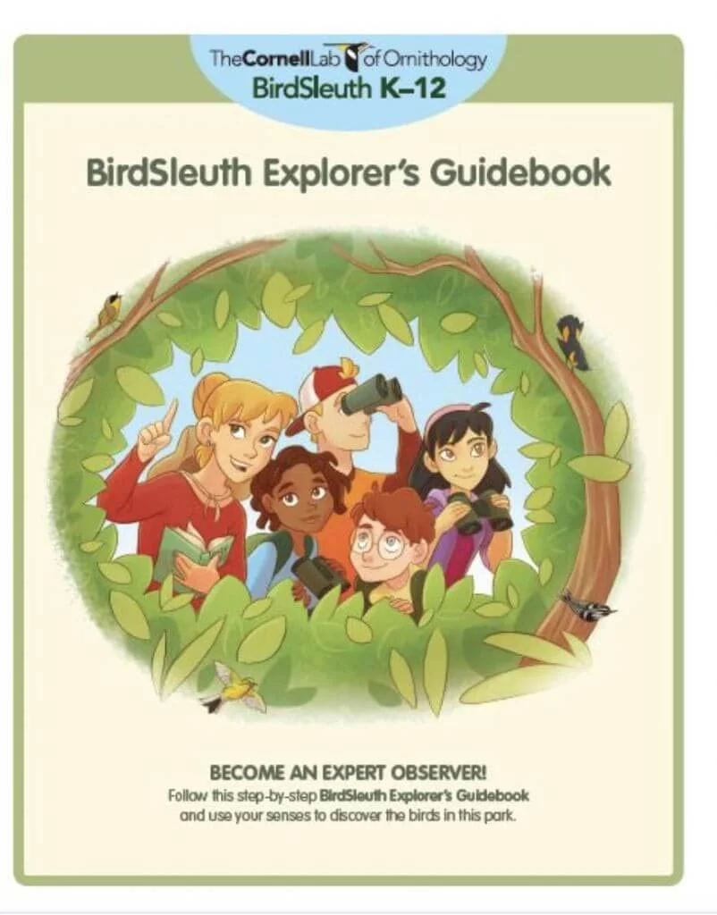 Bird Features ID