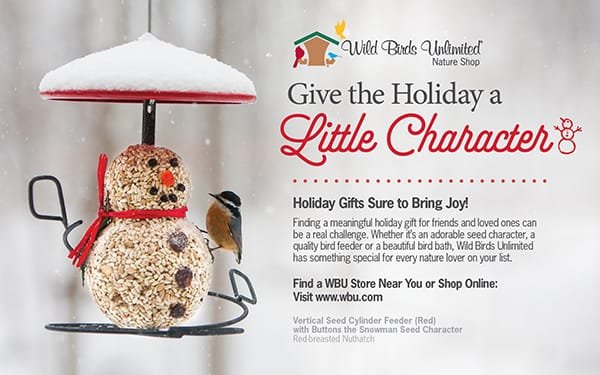 Give the Holiday a Little Character