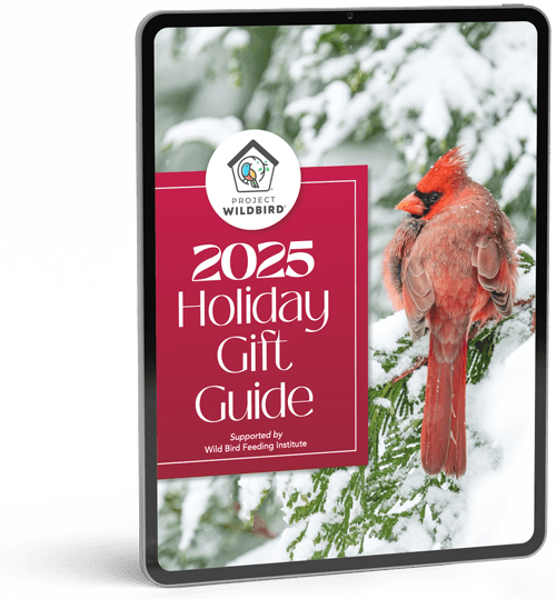 2025 WBFI Holiday Gift Guide