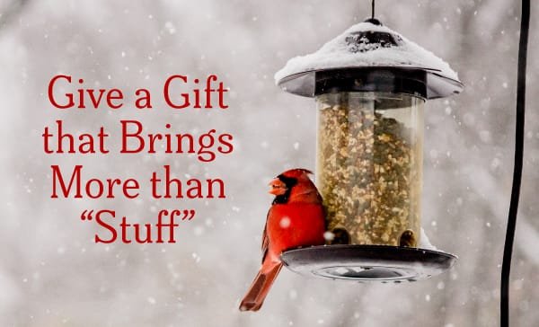 Give a Gift that Brings More than Stuff